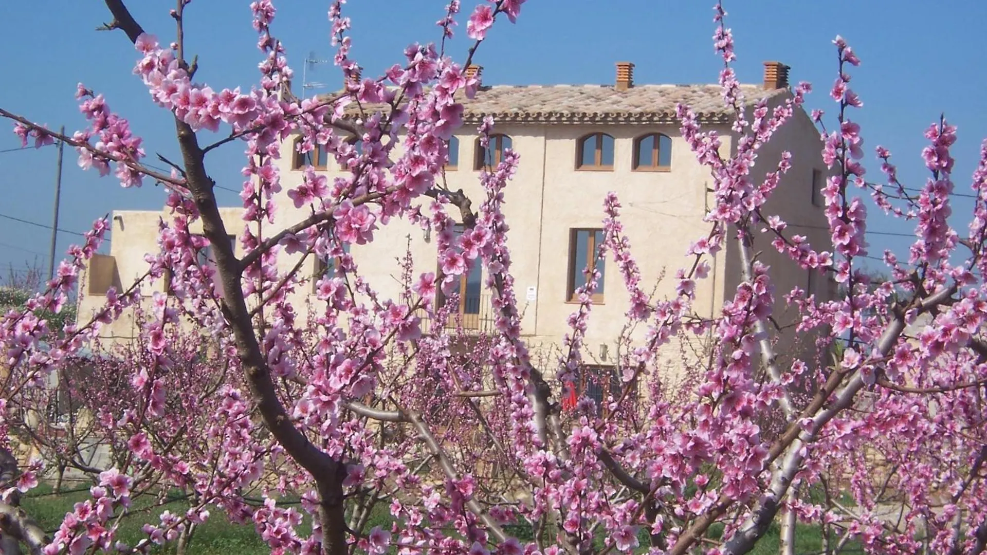 Mas Taniet Hotel Rural Benissanet Casa di campagna