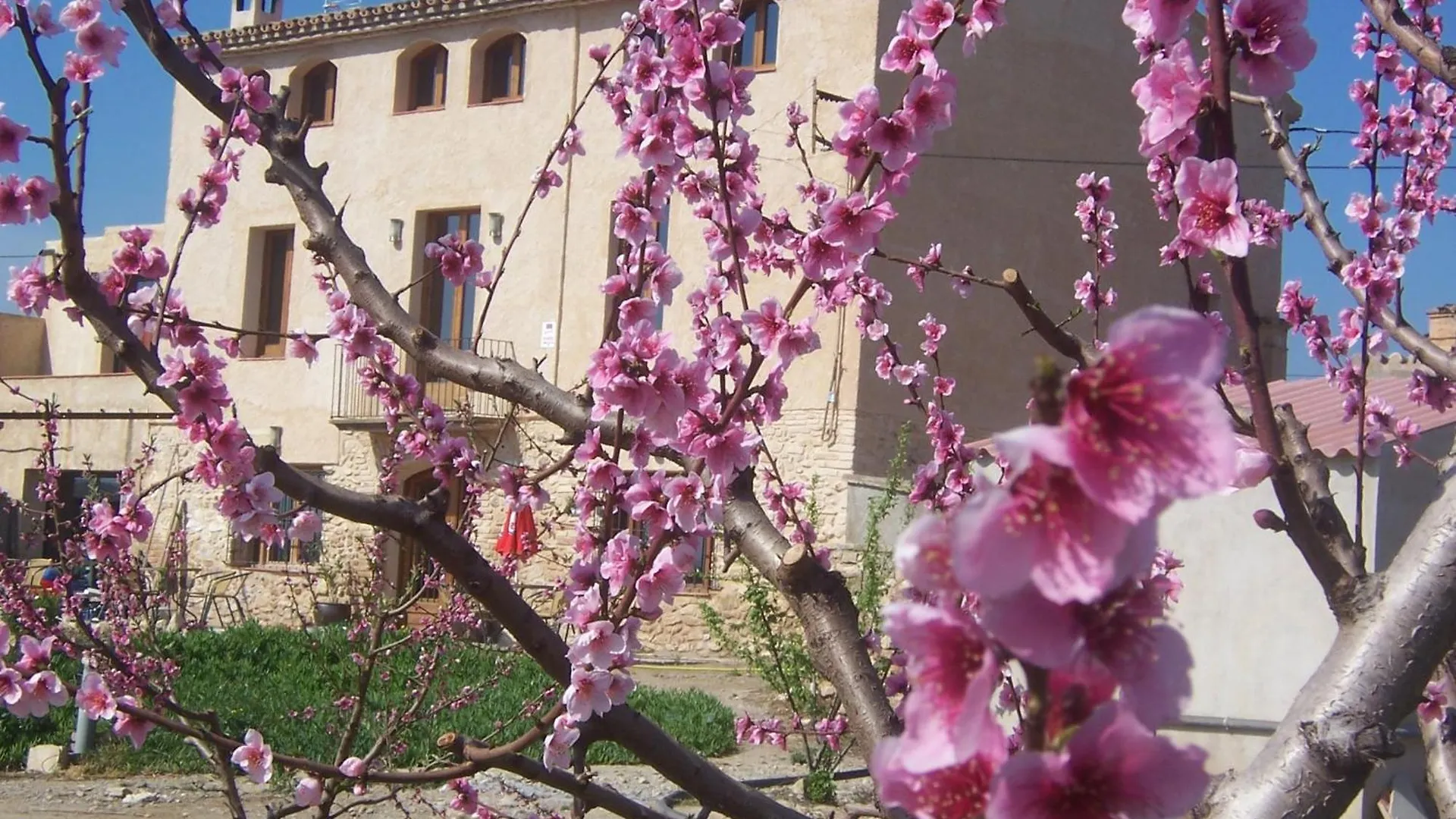 Casa di campagna Mas Taniet Hotel Rural Benissanet Spagna