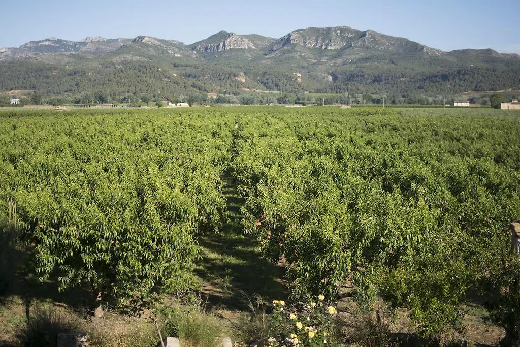 Mas Taniet Hotel Rural Benissanet Spagna